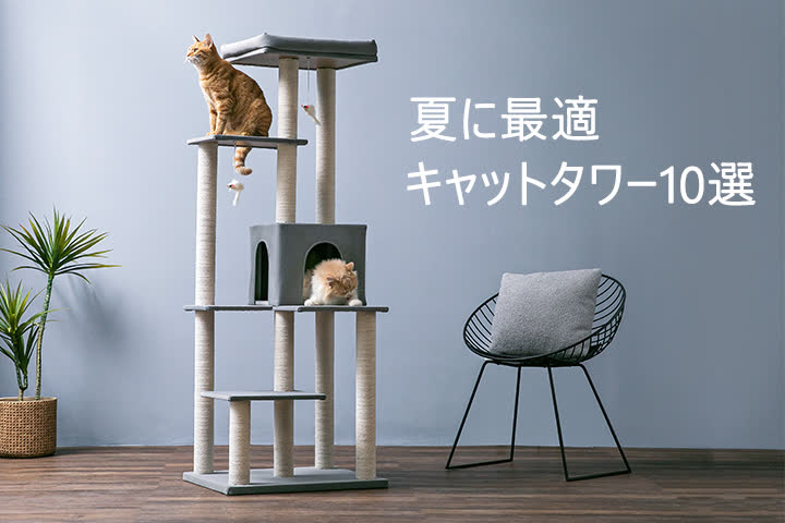 MWPO 【夏用】おすすめキャットタワー10選 – mwpostore