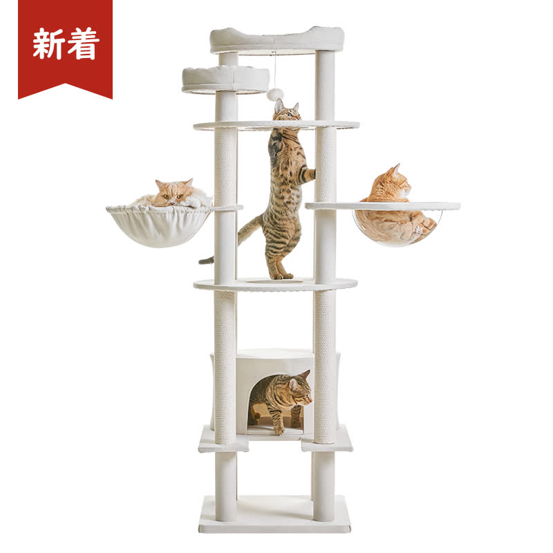 かわうそ 2023 Kawasaki ZX636, K | JKBZXJH19PA018142 | Bid History