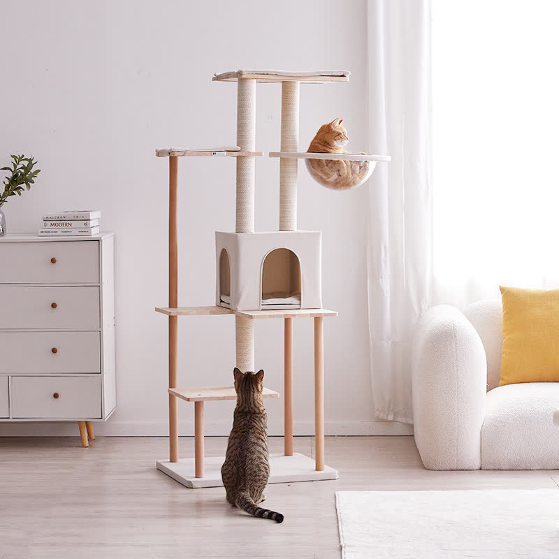 ヴァイス　WS　超常的なパワーモモ　招き猫　ターボババア　PR　プロモ　計3枚 ヴァイス WS 超常的なパワーモモ 招き猫 ターボババア PR プロモ