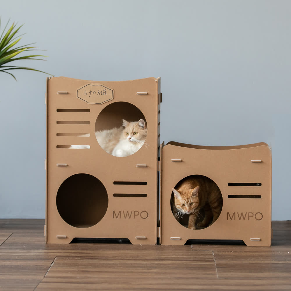 新品ケース付 山猫は眠らない ８巻セット フラゲレビュー】MonoMax（モノマックス）2025年8月号《特別