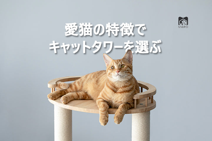 MWPO 愛猫の特徴でキャットタワーを選ぶ