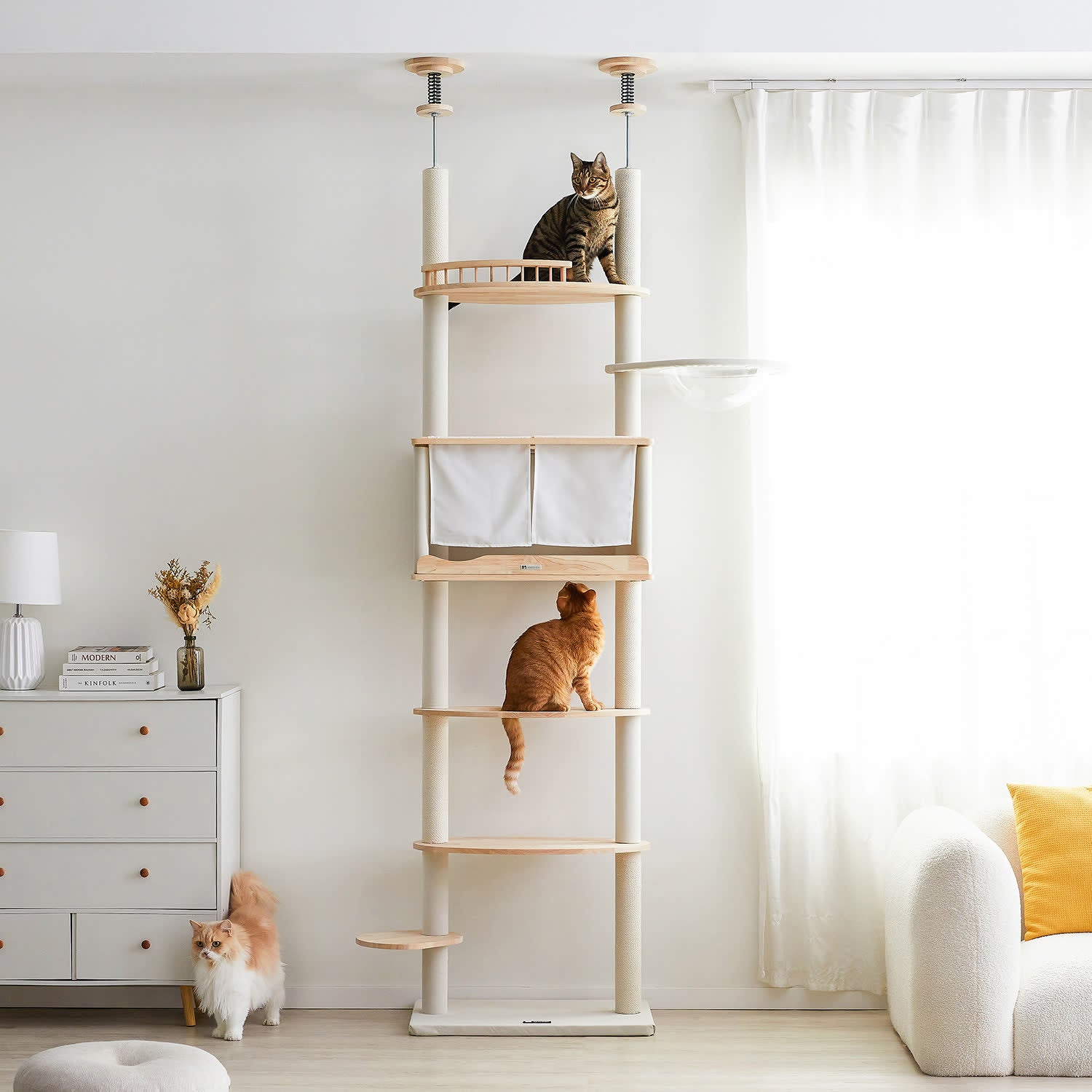 01ok_4e6d997a-6719-4262-b4d8-