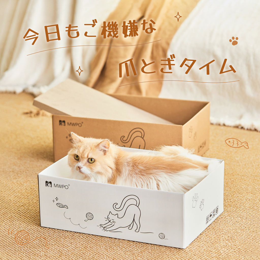 MWPO 猫 爪とぎ 大判ワイド 6枚入り 大型猫 ぽっちゃり猫 高品質