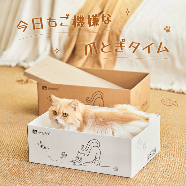 ＼新商品登場／MWPO 猫爪とぎBOX 大判ワイド 6枚入り 994