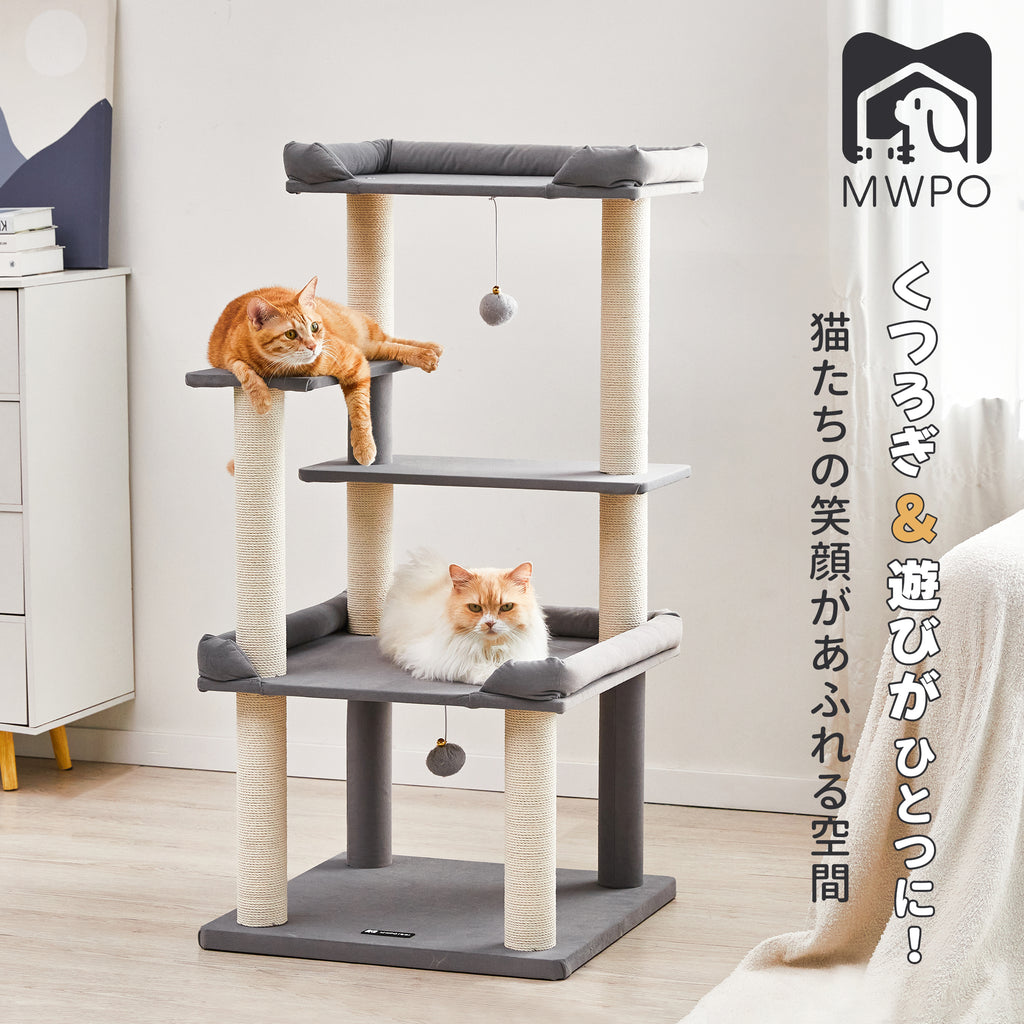 【for meowmeow様】オーダー品 予約販売｜2025年9月頃 お届け予定】<初回予約特典付け>悸動瞬息
