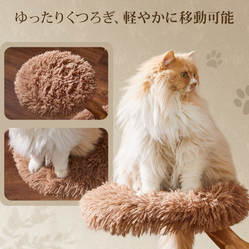 MWPO キャットタワー 天然木 梨の木 無垢材 木製 大型猫 おしゃれ