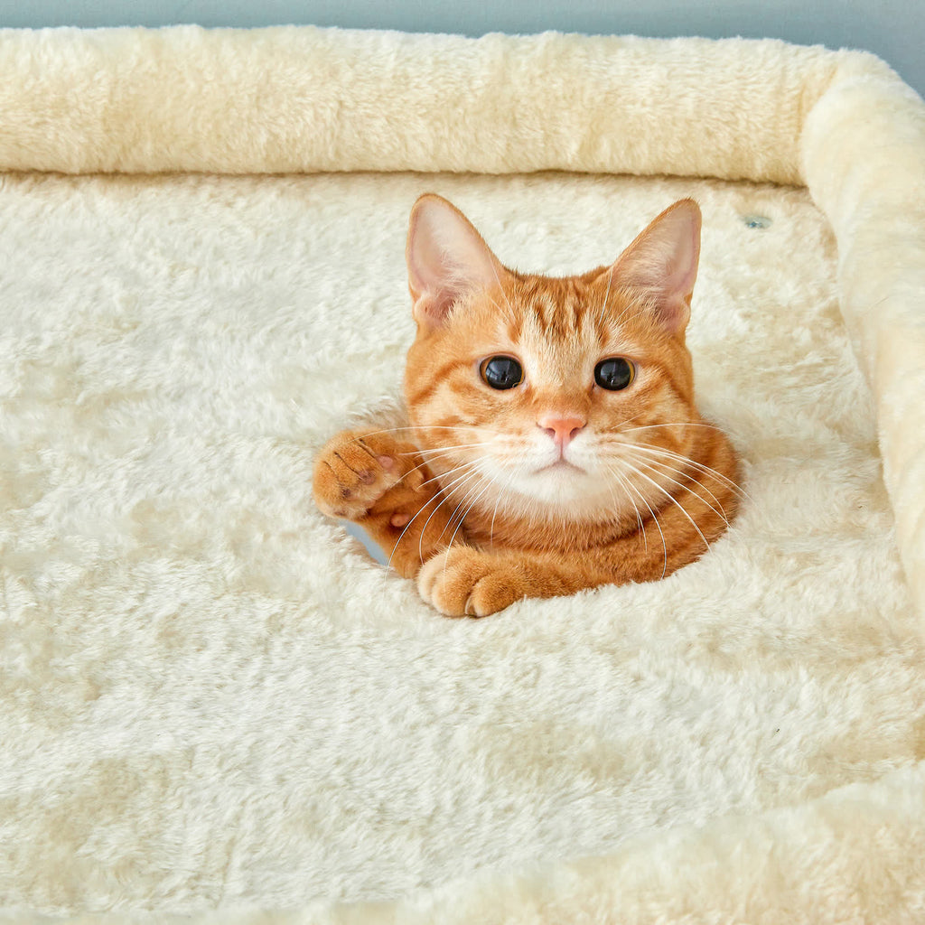 ねこ 楽天市場】【レビュー特典付】 キャットタワー 麻 紐 大型 タワー