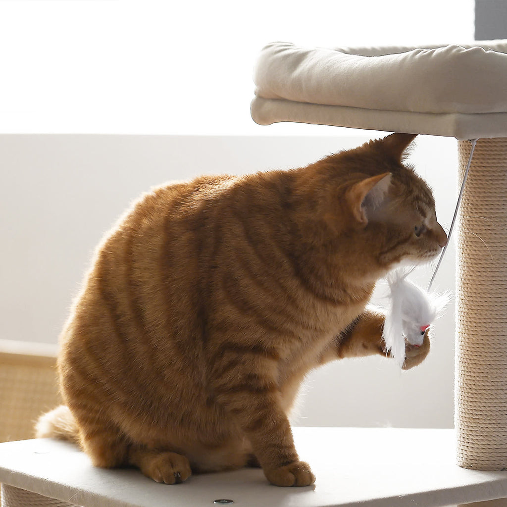 MWPO キャットタワー 高さ131cm きゃっとたわ cat tower 高齢 猫 MWPO キャットタワー 高さ131cm きゃっとたわ cat tower 高齢 猫