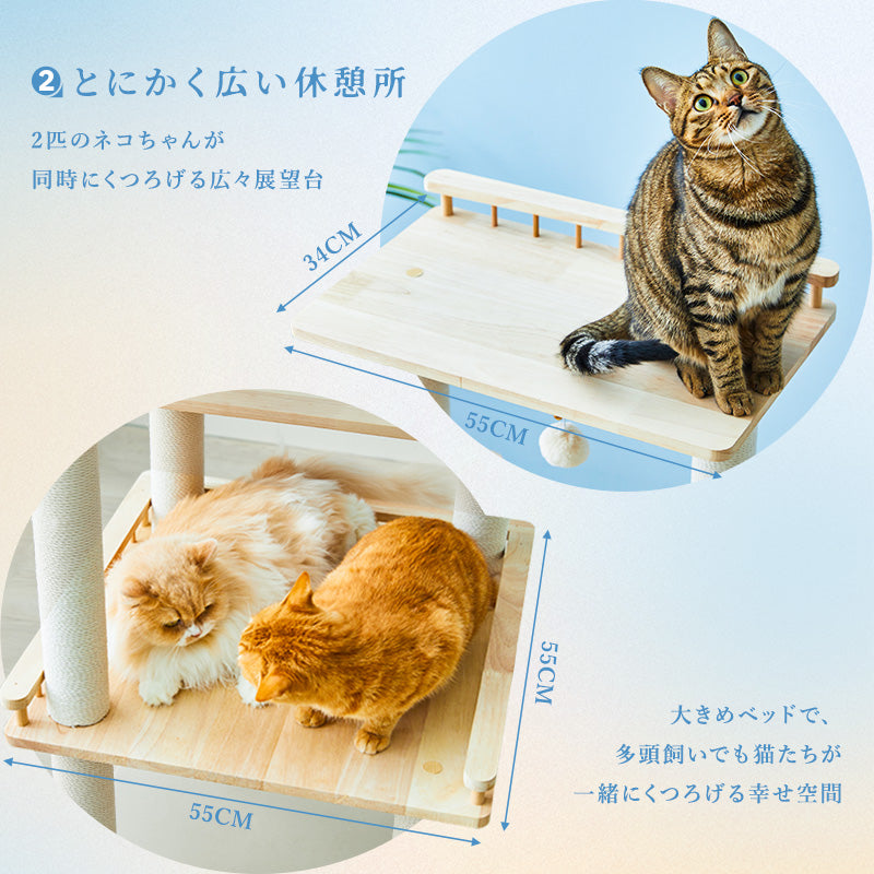 MWPO キャットタワー 木製 天然木 大型猫 高齢猫 シニア猫向き 巨大