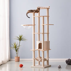 ポラ猫 mwpo TX00266シリーズ みなさん、こんにちは！ mwpo（モロ）です