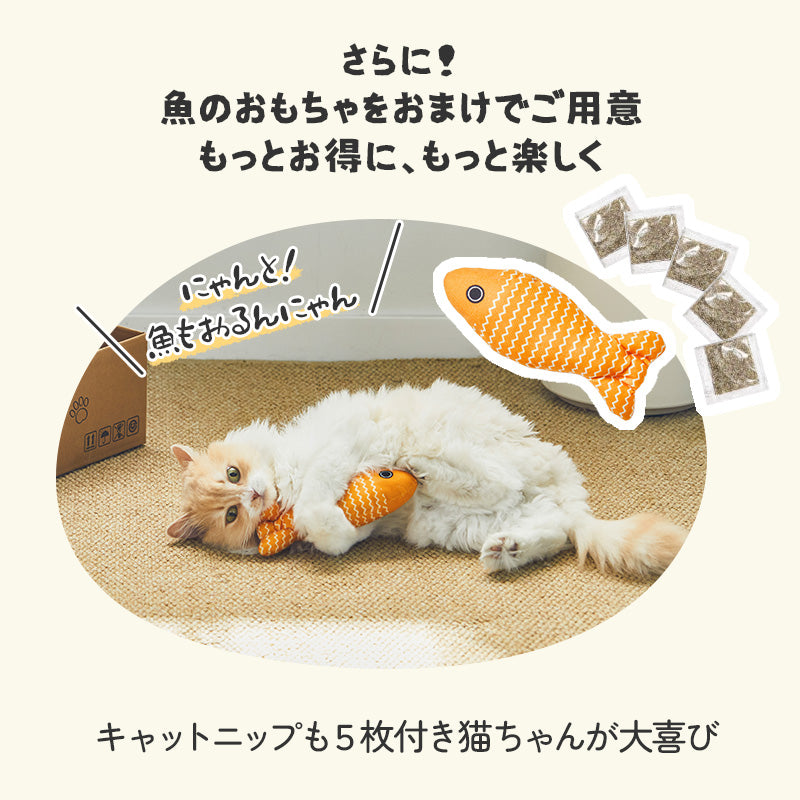 MWPO 5枚入り 爪とぎBOX ストレス解消 猫 つめとぎ ダンボール 箱式 猫