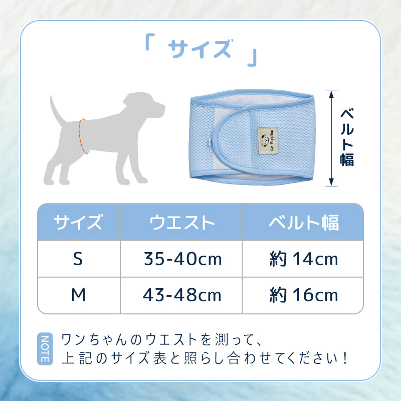 ペット✩犬✩マナーベルトオーダー用 サンプル（確認用）パピヨン 水色 MWPO マナーベルト ペット 犬 猫 マナーベルト おむつ 男の子用 介護用